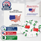 US Citizen Flash Cards